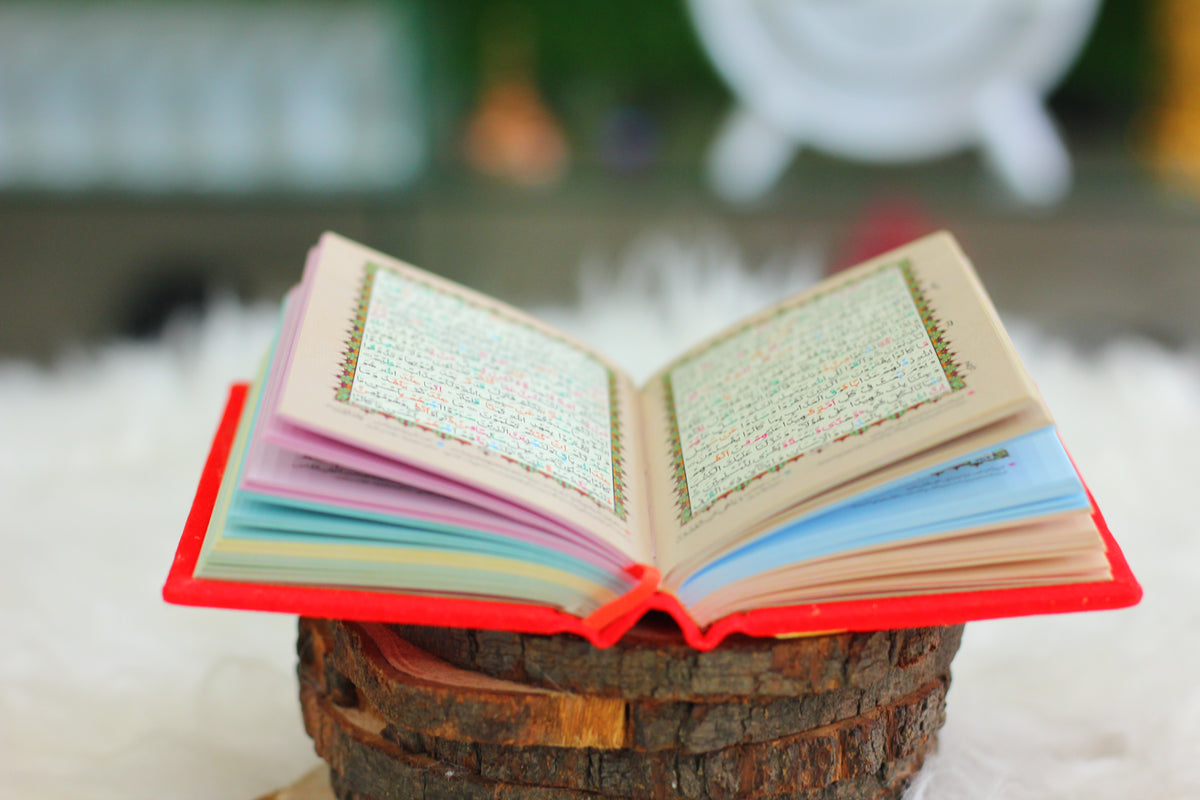 Mini Pocket Quran with Tajweed - A Convenient & Guided Spiritual Companion